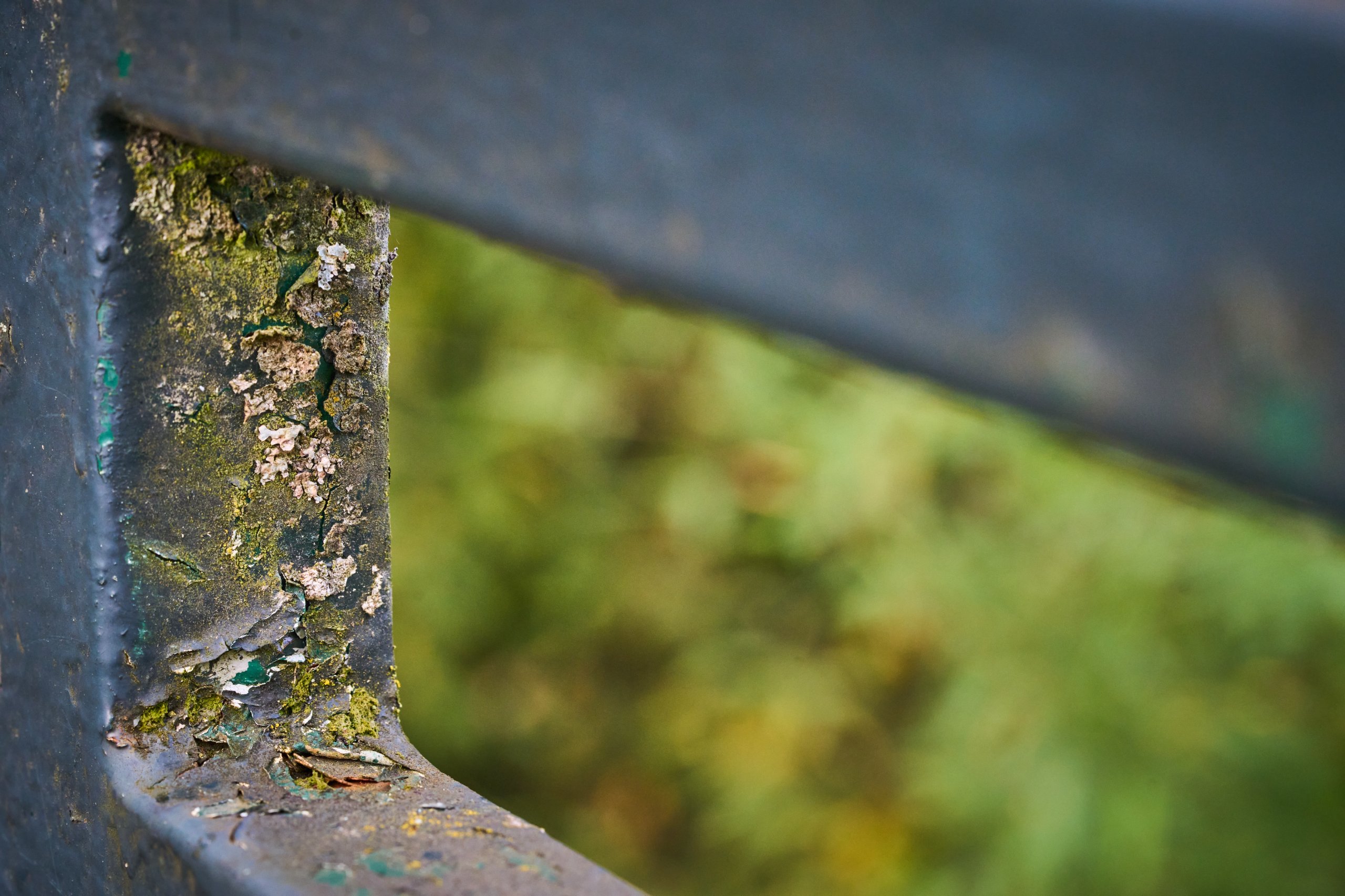 2025 11 02 Gruga 0038